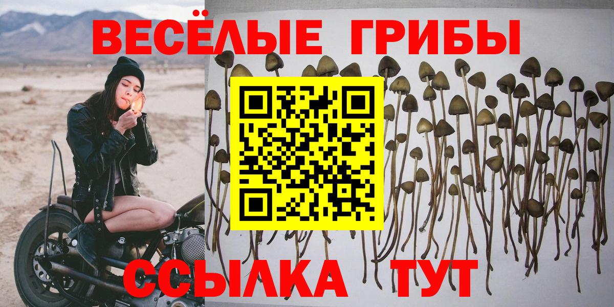 Галлюциногенные грибы мухоморы Петрозаводск