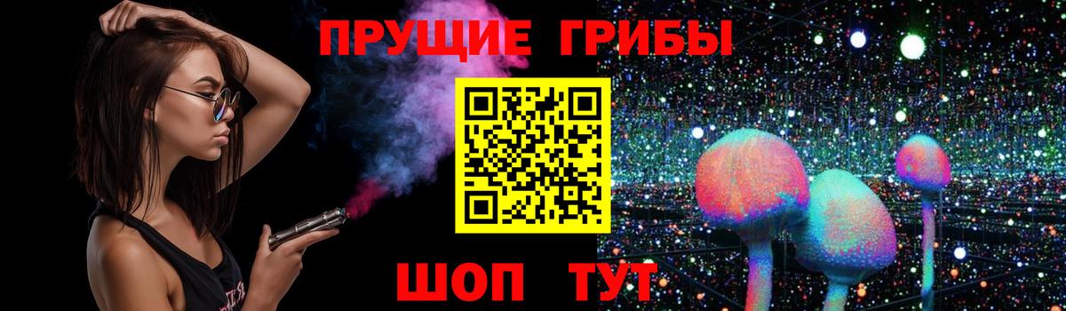 Петрозаводск  Псилоцибиновые грибы мицелий  Вход с VPN 